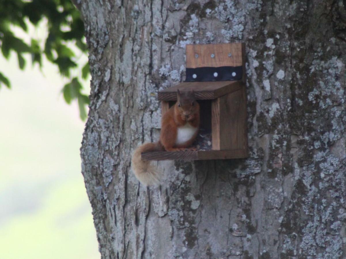 Lane Head Farm Country Guest House トラウトベック エクステリア 写真