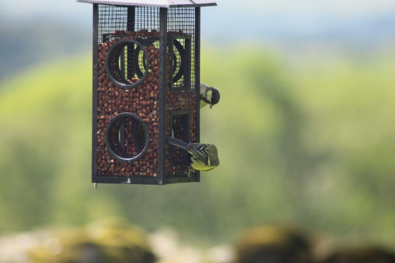 Lane Head Farm Country Guest House トラウトベック エクステリア 写真